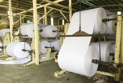 Xưởng cắt giấy tự động